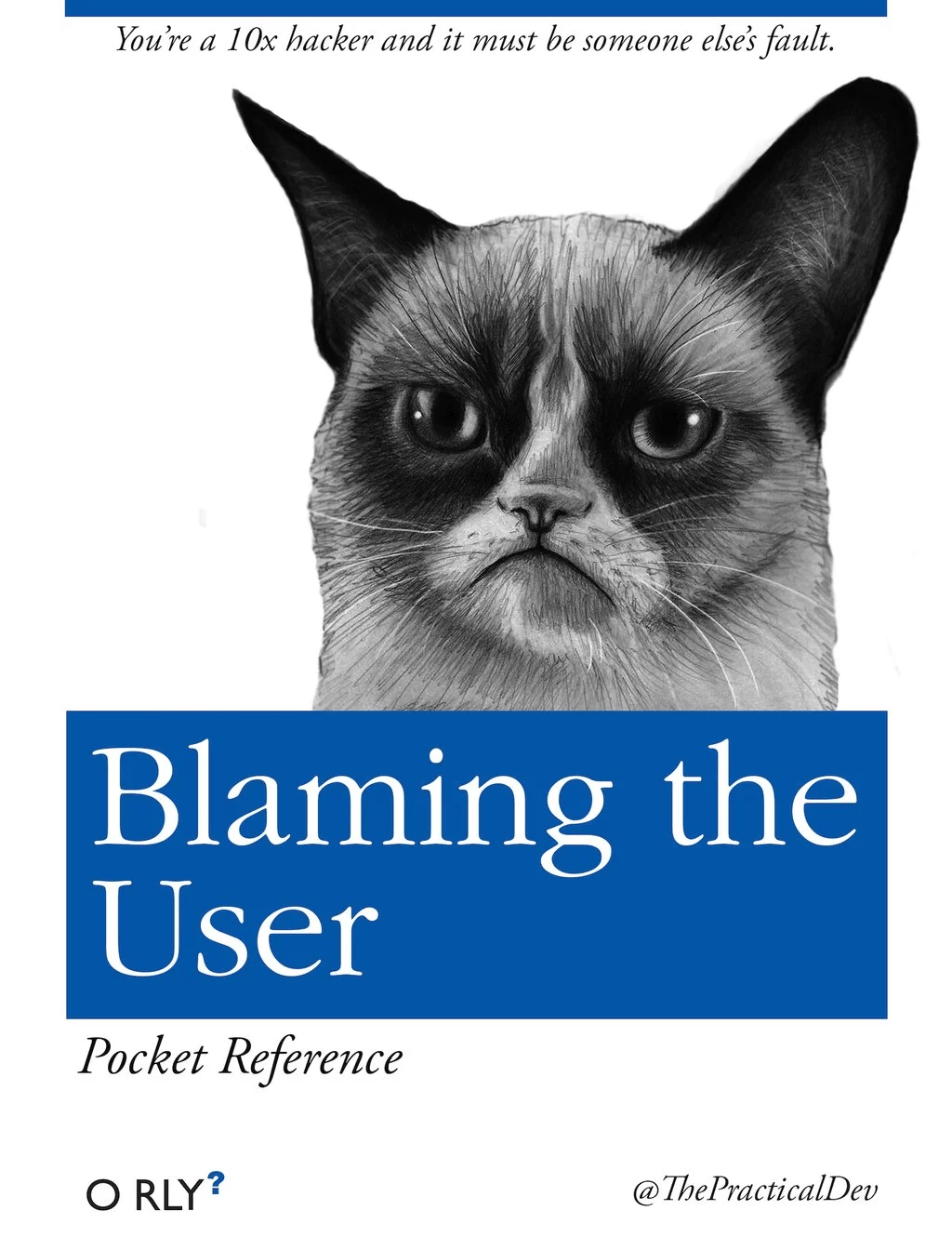 blaming-the-user