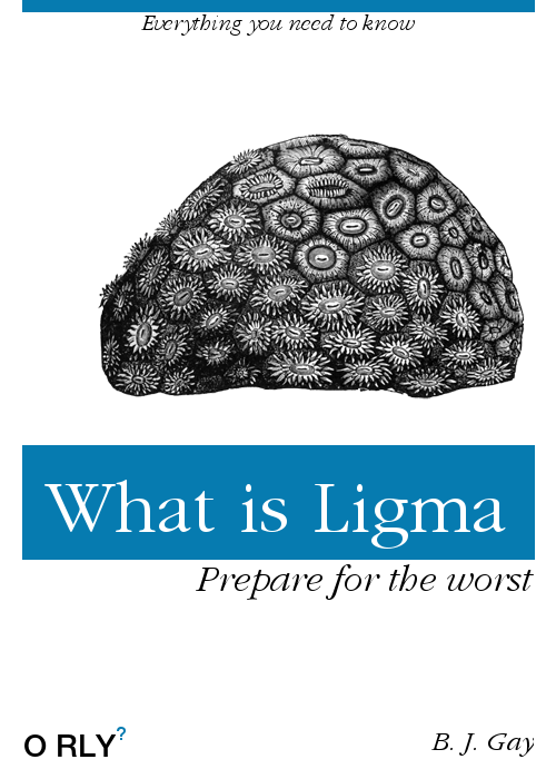 what-is-ligma