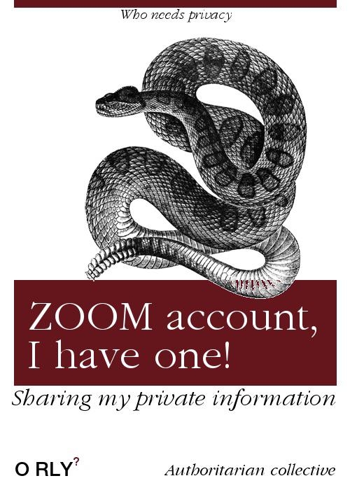 zoom-account